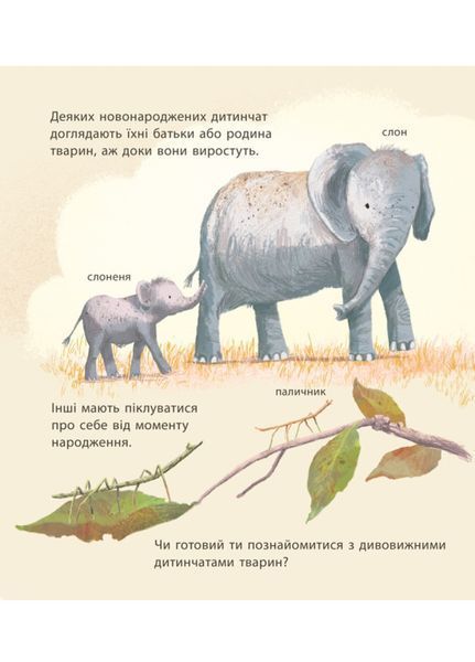 Дивовижна природа : Дивовижні дитинчата тварин С884001У 9786170942876 Автор Пакхем Кріс 293113 фото