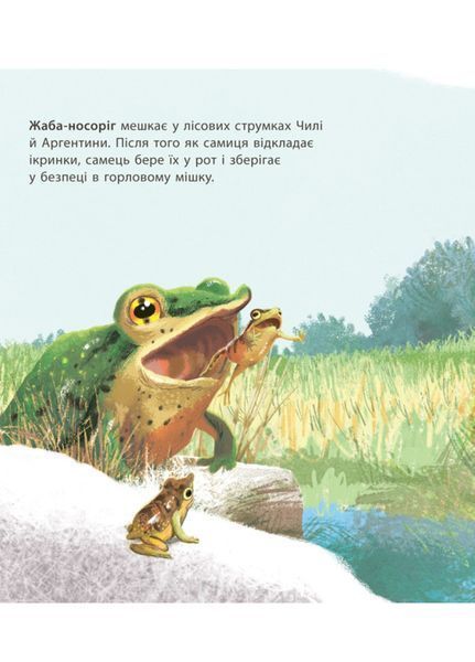 Дивовижна природа : Дивовижні дитинчата тварин С884001У 9786170942876 Автор Пакхем Кріс 293113 фото
