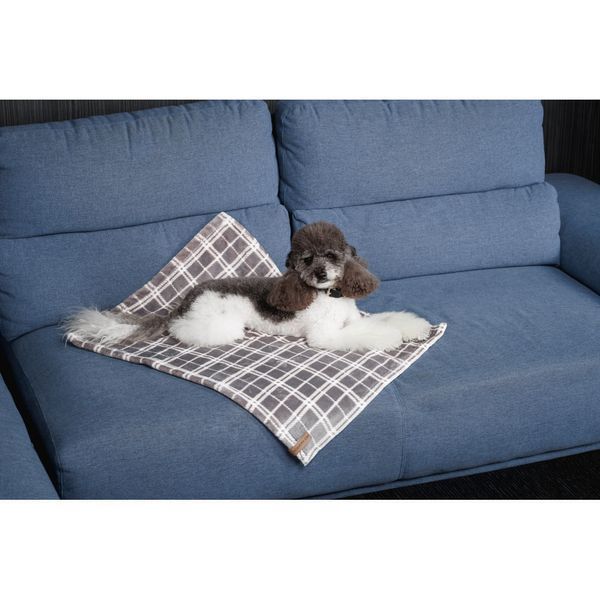 Плед Pet Fashion Bliss 1 для собак і котів плюш сірий картатий 70.5х55,5 см 4823082441334 4823082441334 фото