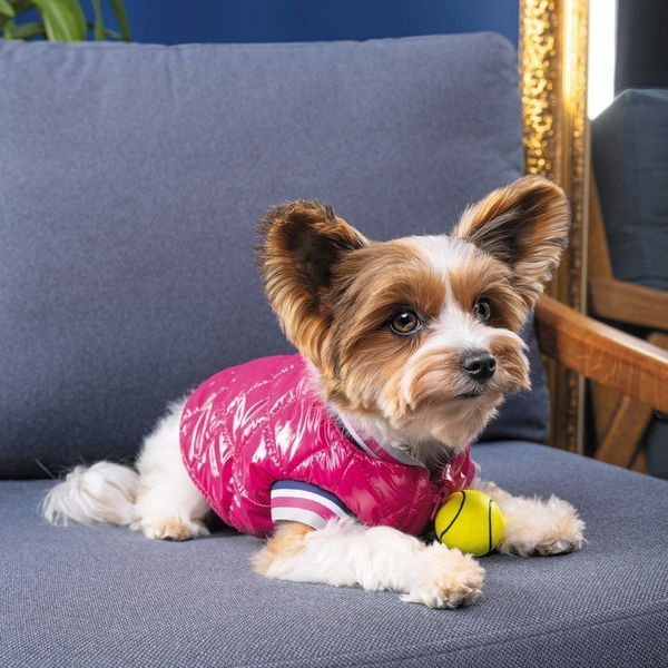 Бомбер Pet Fashion Grace для собак М 4823082430178 4823082430178 фото