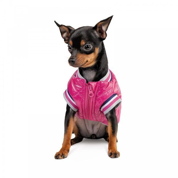Бомбер Pet Fashion Grace для собак М 4823082430178 4823082430178 фото