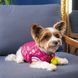 Бомбер Pet Fashion Grace для собак М 4823082430178 4823082430178 фото 4