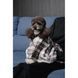 Плед Pet Fashion Bliss 1 для собак і котів плюш сірий картатий 70.5х55,5 см 4823082441334 4823082441334 фото 9