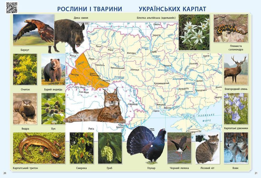 Атлас Я досліджую світ 3 клас 9786170962454 фото