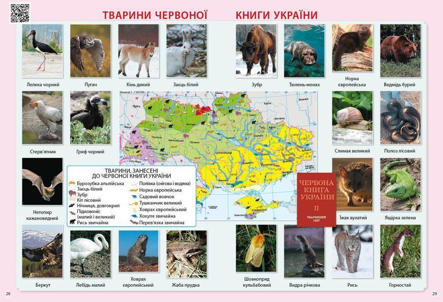 Атлас Я досліджую світ 3 клас 9786170962454 фото