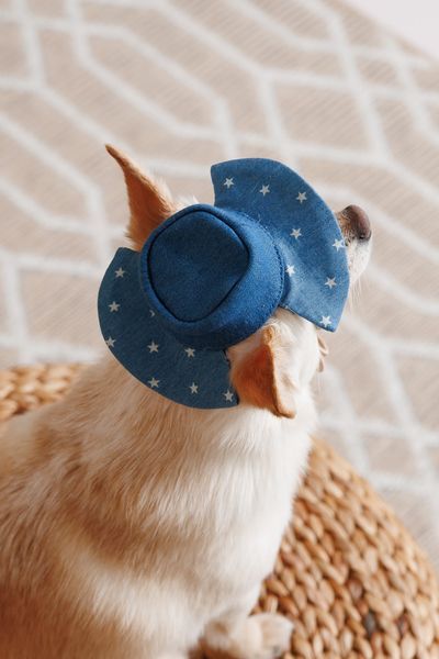 Панама Pet Fashion Stars для собак М 4823082446148 PR244614 фото