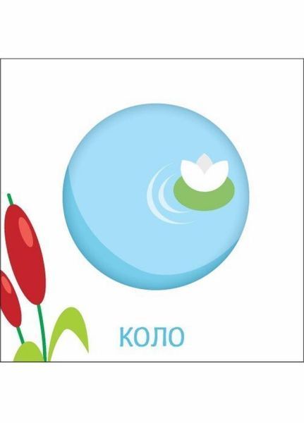 Книжка-картонка Яскравий світ. Форми. 0+ А1708002У 9789667511463 9789667511463 фото