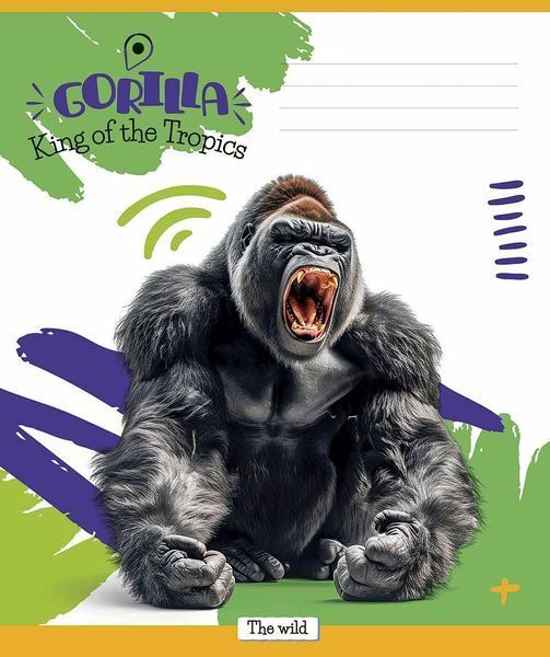 Зошит учнівський, набір 5 шт, King of the Tropics ВД-лак. Зошит Star у лінію 18 арк. 3421 4820006472092 4820006472092_018-3421L фото