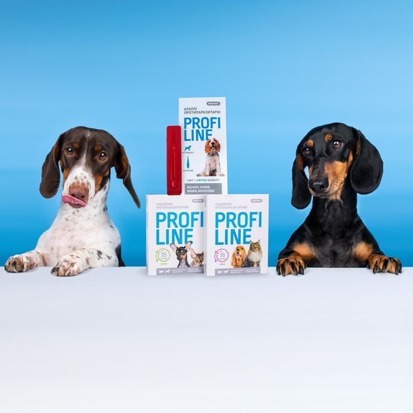 Нашийник Provet PROFILINE для котів та собак інсектоакарицид фуксія 35 см PR243095 PR243095 фото
