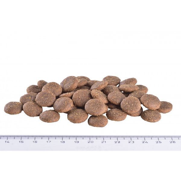 Корм сухий Brit Grain Free VetDiet Dog Gastrointestinal для дорослих собак з порушенням травлення з оселедцем лососем та горохом 8595602528127 170944/528127 фото