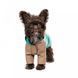 Дощовик Pet Fashion Semmy морська хвиля капучіно XS 4823082434497 4823082434497 фото 2