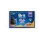 Корм вологий Brit Premium Cat Fish Plate pouches набір паучів для котів рибна тарілка з тріскою, лососем та фореллю 100 г х 100276 /506248 фото 1