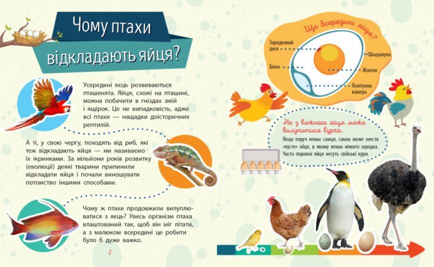 Книга "Чомусики. Тварини" Автор Булгакова Ганна 9786170937810 фото