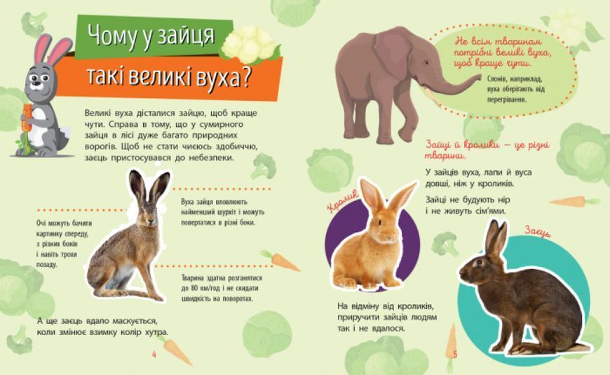 Книга "Чомусики. Тварини" Автор Булгакова Ганна 9786170937810 фото