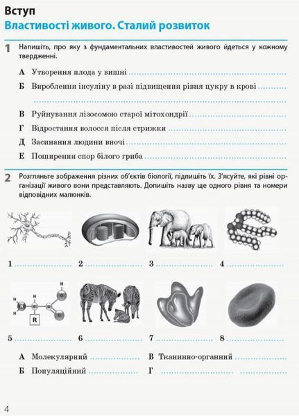 Біологія і екологія (рівень стандарту). 10 клас. Робочий зошит Ш530164У 9786170944931 9786170944931 фото