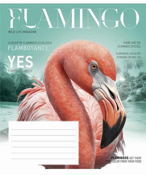 Зошит учнівський, набір 5 шт, Fauna magazine ВД-лак. Зошит Star у лінію 18 арк. 3428 4820006472092 4820006472092_018-3428L фото