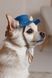 Панама Pet Fashion Stars для собак S 4823082446124 PR244612 фото 4