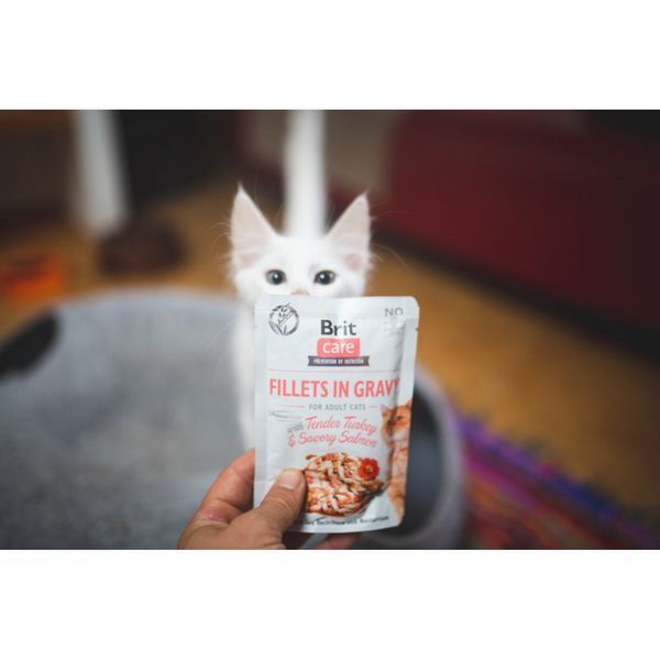 Корм вологий Brit Care Fillets in Gravy Tender Turkey and Savory Salmon для котів філе в соусі з індичкою та лососем 85 г 100528/0501 фото