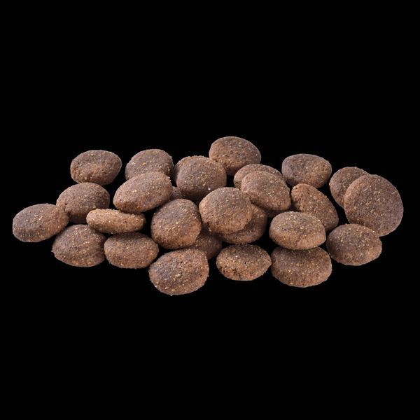 Корм сухий Brit Care Dog Grain-free Adult Large Breed для дорослих собак великих порід беззерновий з лососем 12 кг 8595602558896 8595602558896 фото