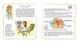 Енциклопедія "Private needs explained to kids. Let&rsquo;s talk it out with parents and without" Талант 9789669359827 фото 3