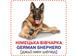 Розумні картки. Собаки. 12 карток (Crystal Book) F00020495 фото 3