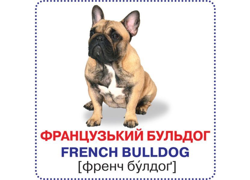 Розумні картки. Собаки. 12 карток (Crystal Book) F00020495 фото