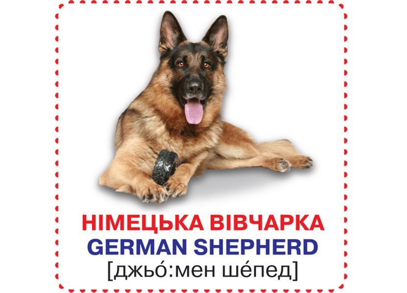 Розумні картки. Собаки. 12 карток (Crystal Book) F00020495 фото