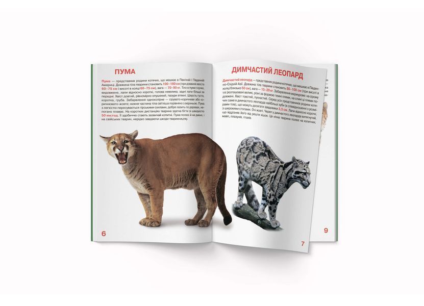 Велика книжка. Дикі кішки (Crystal Book) F00010886 фото