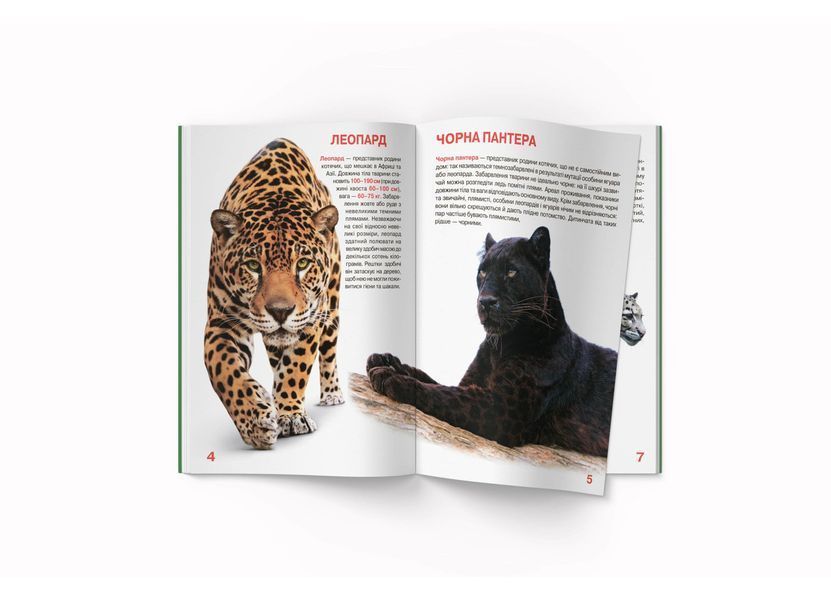 Велика книжка. Дикі кішки (Crystal Book) F00010886 фото
