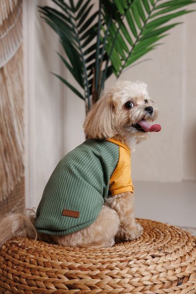 Футболка Pet Fashion Kent для собак S 4823082446155 PR244615 фото