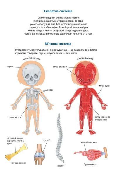 Книжка Твоє тіло. Дівчинка 9789669891914 9789669891914 фото