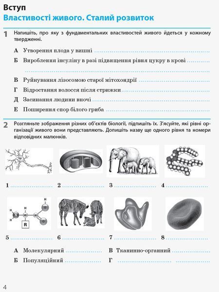 Книга Біологія і екологія (рівень стандарту). 10 клас. Робочий зошит Ранок Автор - Задорожний К.М. Г229011У 9786170944931 9786170944931 фото