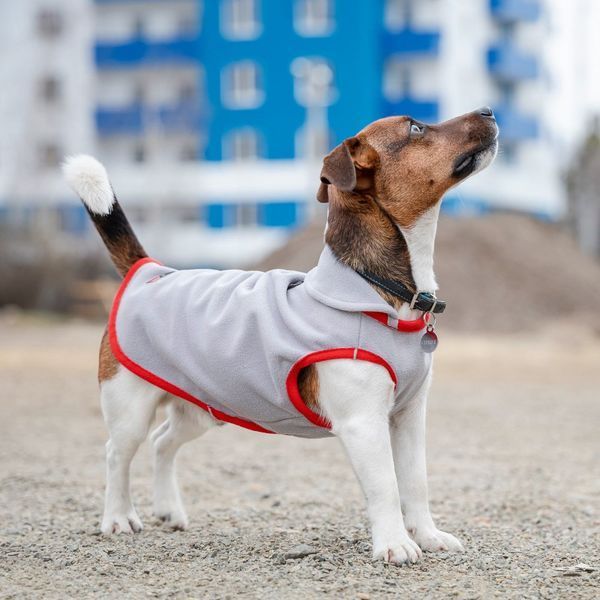 Жилет Pet Fashion Fleecy для собак сірий/червоний ХS2 4823082419616 4823082419616 фото