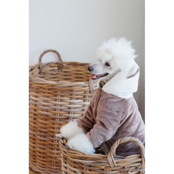 Костюм Pet Fashion Alf для собак бежевий S 4823082427390 4823082427390 фото