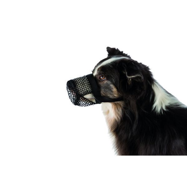 Намордник Trixie для собак для захисту від ядів L чорний 4011905175959 4011905175959 фото