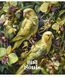 Комплект 5 шт загальних зошитів Bird Souls. Зошит Школярик 48 арк. у клітинку 3457 4820006471354 4820006471354_048-3457K фото 6
