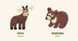 Книга Лісові звірі. Forest animals. Автор - Олена Забара (ВСЛ) 9786176793175 фото 4