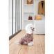Костюм Pet Fashion Alf для собак бежевий S 4823082427390 4823082427390 фото 4