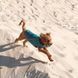 Жилет Pet Fashion E.Vest для собак морська хвиля М 4823082424153 4823082424153 фото 4