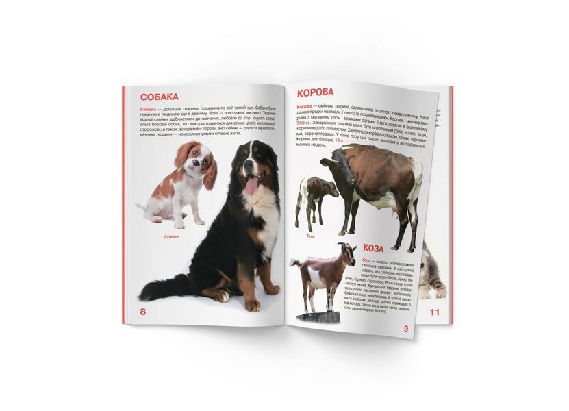 Велика книжка. Свійські тварини (Crystal Book) F00013734 фото