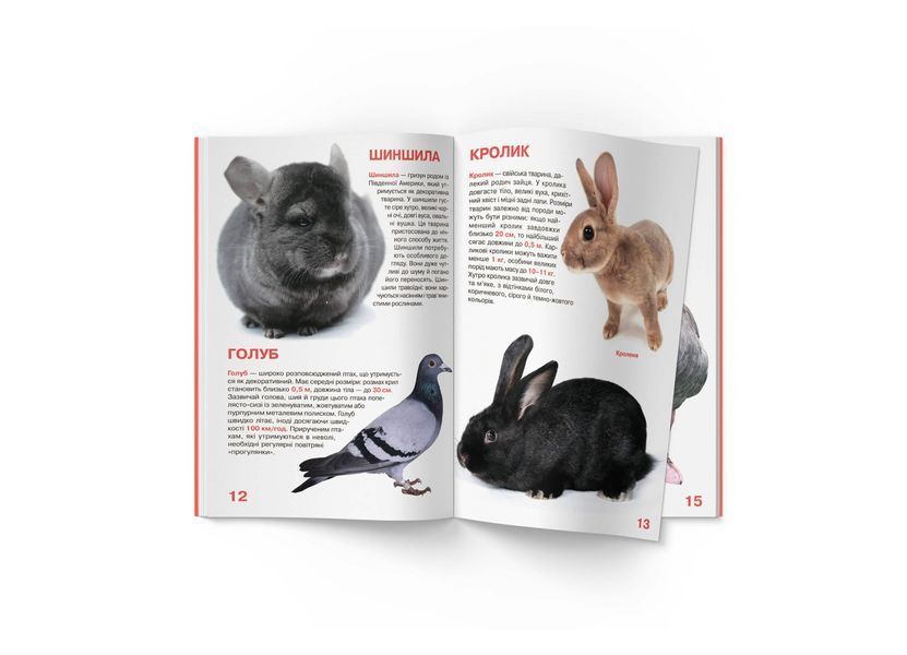 Велика книжка. Свійські тварини (Crystal Book) F00013734 фото