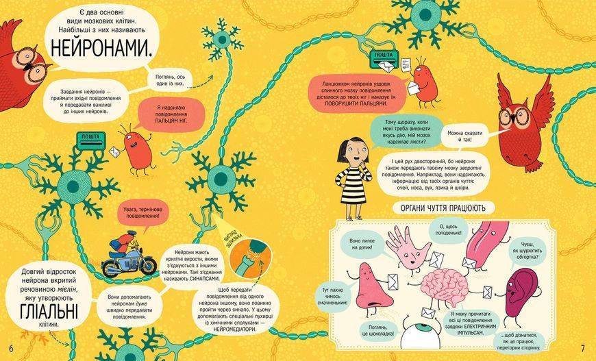Книжка про мозок і те, як він працює. ТВЕРДА ОБКЛАДИНКА! Автор др. Бетіна Іп 9786178012243 фото