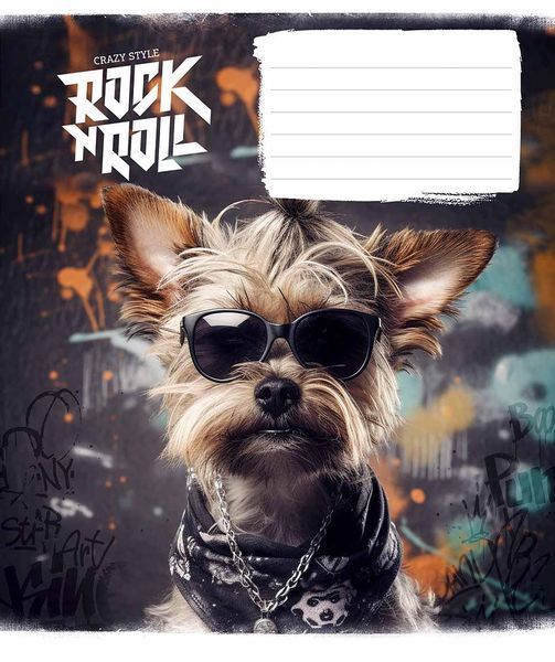 Набір 5 шт, зошит учнівський, RocknRoll (ВД-лак). Зошит Star у лінію 24арк. 3277 4820006472115 4820006472115_11 фото