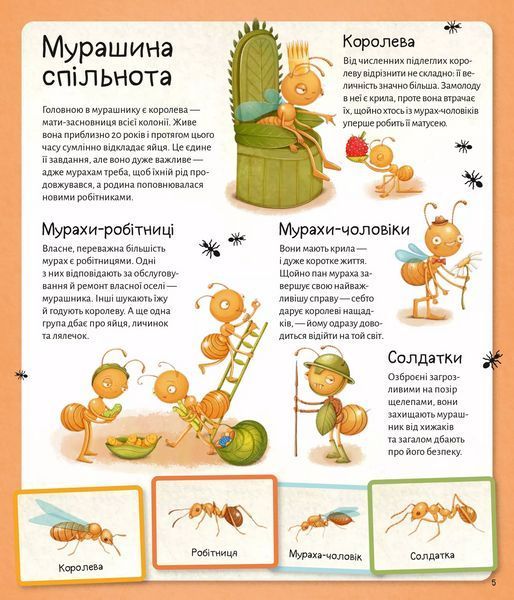 Книга Світ мурах (1458282) 9786171703186 фото