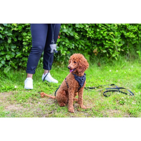 Шлея Trixie CityStyle H-harness для собак бавовна XS&ndash;S 30&ndash;44 см 10 мм чорна 4053032682580 4053032682580 фото
