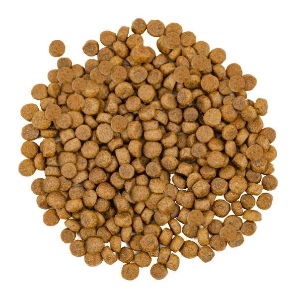 Корм сухий Savory Adult Cat Gourmand Fresh Salmon and White Fish для довгошерстих котів зі свіжим лососем і білою рибою 2 кг 30020 фото
