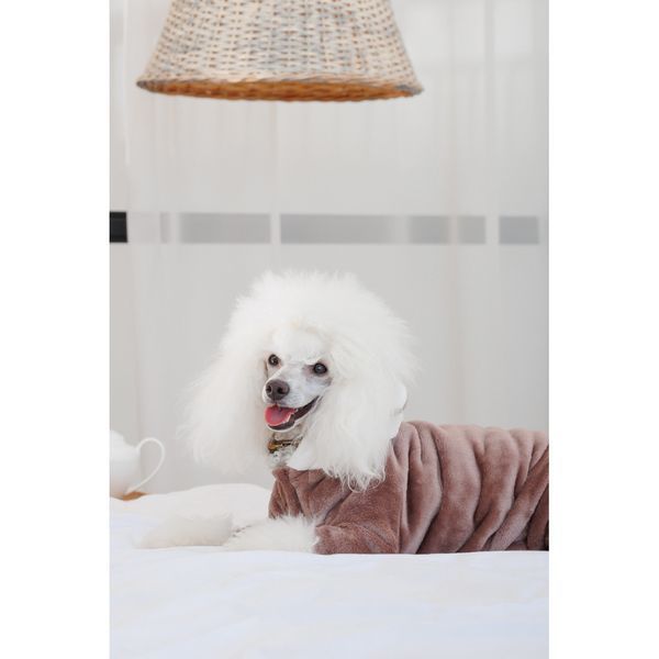 Костюм Pet Fashion Alf для собак бежевий XS2 4823082427413 4823082427413 фото