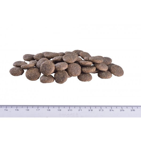 Корм сухий Brit Grain Free VetDiet Dog Hypoallergenic для собак з харчовою алергією з лососем горохом і гречкою 12 кг 8595602528035 170938/8035 фото