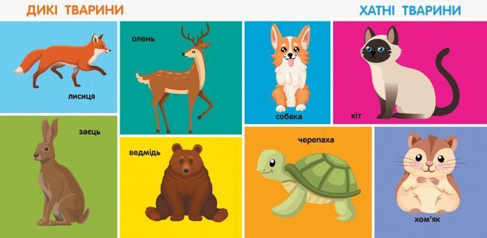 Книжка-картонка Смарт-книга "100 перших слів" Автор Трофимова Катерина С944002У 9786170952950 9786170952950 фото