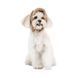 Шапка Valley Pet Fashion для собак розмір M бежева 4823082442508 4823082442508 фото 2